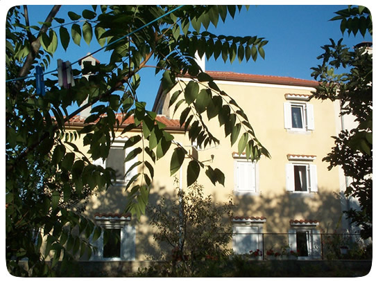 Kuća Šegota